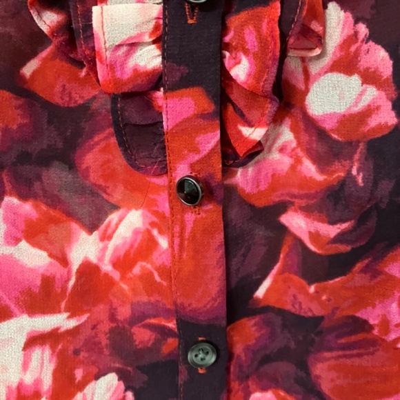 L’Wren Scott Banana Republic Rose Chiffon Blouse,  4P - Picture 8 of 8